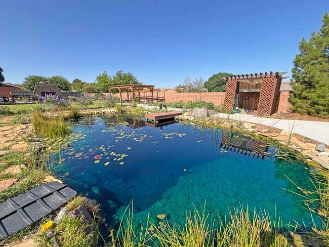 backyard pond | Image 26