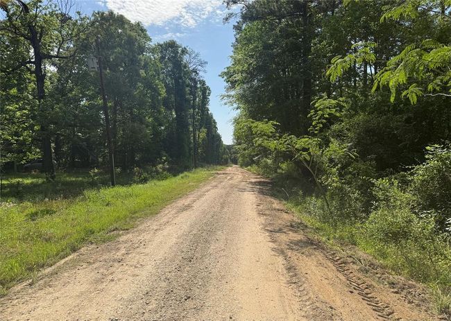 00 Holly Lane, Home with 0 bedrooms, 0 bathrooms and null parking in Oakhurst TX | Image 4