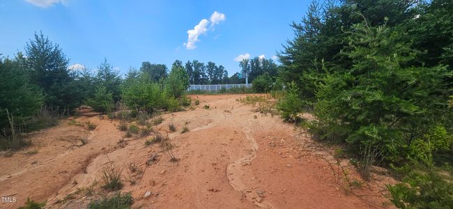 20240613_151618 | Image 24