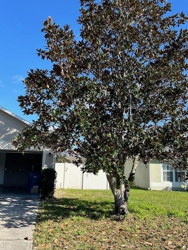 3467 Arabesque Dr, House other with 3 bedrooms, 2 bathrooms and null parking in DELAND FL | Image 23