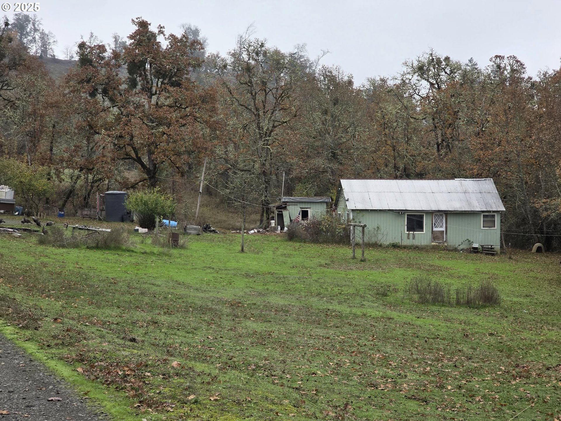 Land in Sutherlin 3