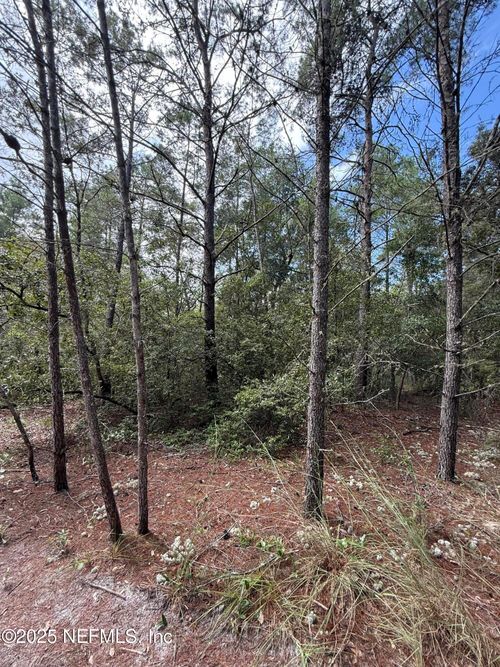 00 Banana Ave, Pomona Park, FL, 32181 | Card Image