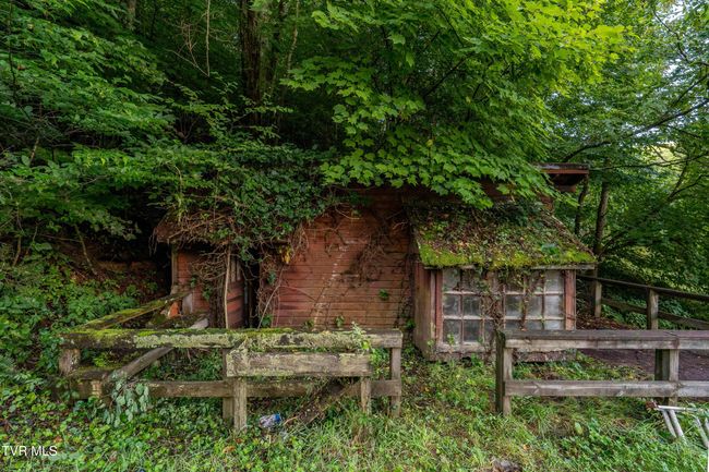 306 Bear Branch Rd, Home with 0 bedrooms, 0 bathrooms and null parking in Roan Mountain TN | Image 48