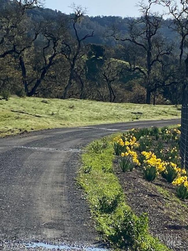 23655 Vineyard Rd, Home with 0 bedrooms, 0 bathrooms and null parking in Geyserville CA | Image 11