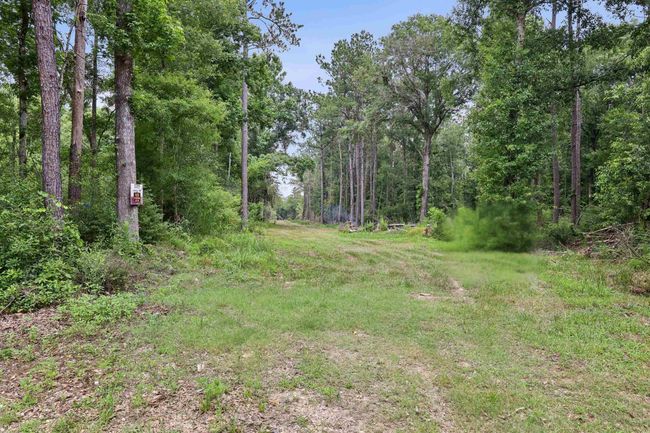 3705 Haynes Loop, Home with 0 bedrooms, 0 bathrooms and null parking in Kountze TX | Image 11