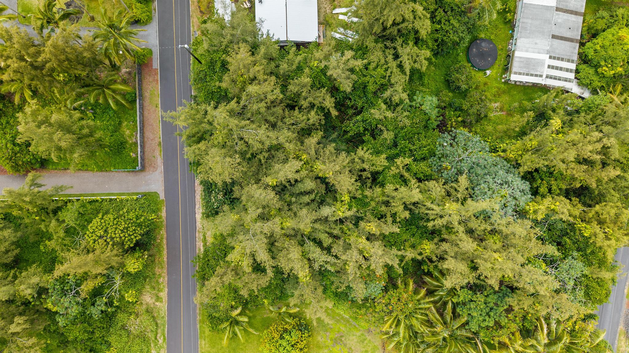 Land in Keaau 2