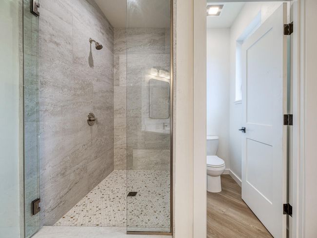 1168 Paper Birch-26 | Image 27