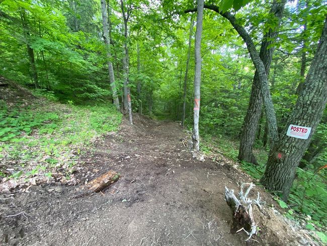 15 Gorge Rd, Home with 0 bedrooms, 0 bathrooms and null parking in Middleburgh NY | Image 4