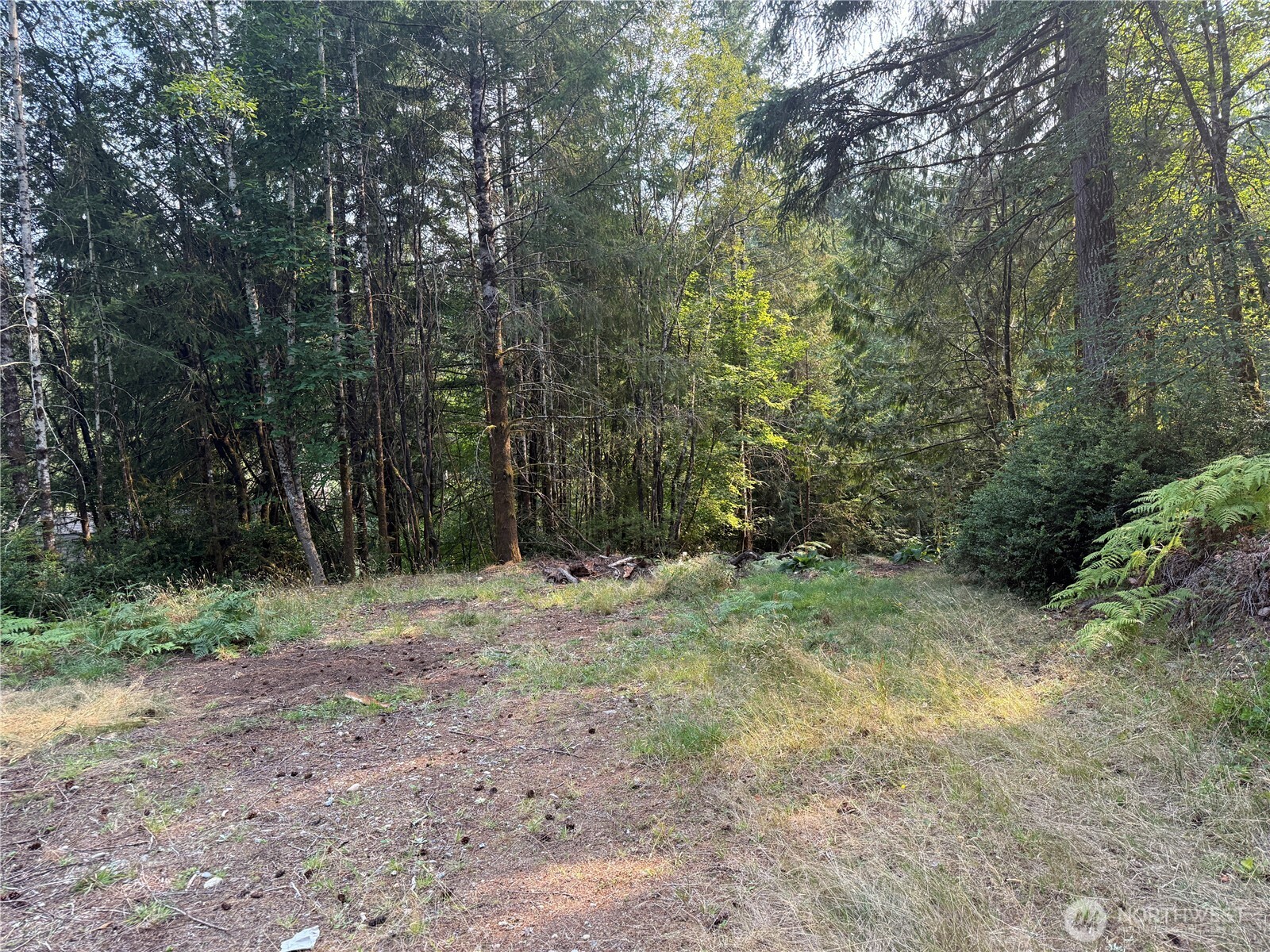 Land in Shelton 5