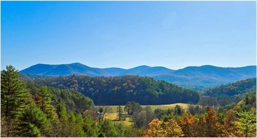 3 Gold Ridge Trail, Cherry Log, GA, 30522 | Card Image