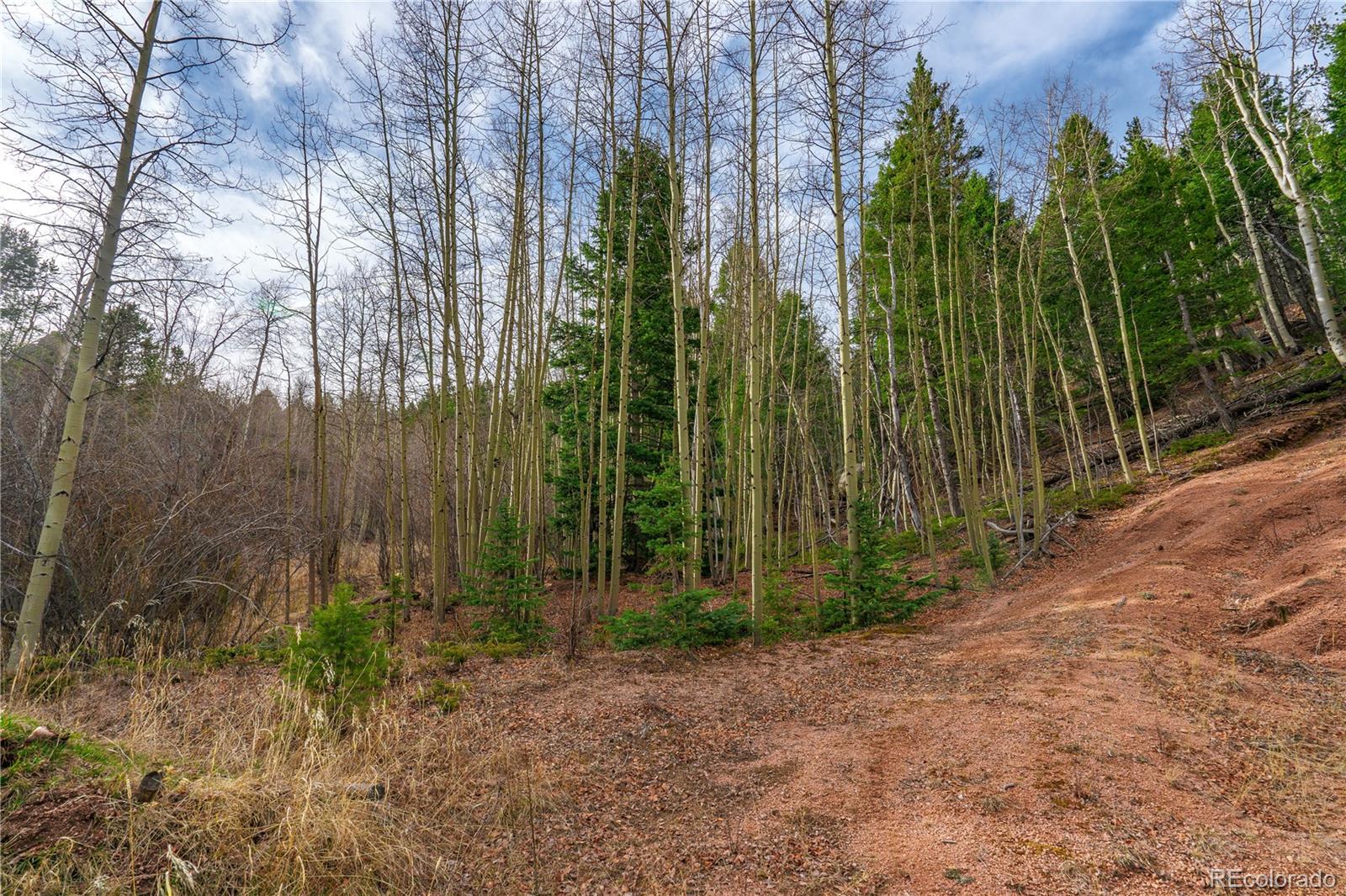 Land in Cripple Creek 4