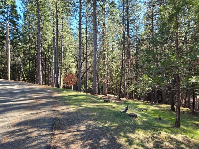 5701 Lupin Lane, Home with 0 bedrooms, 0 bathrooms and null parking in Pollock Pines CA | Image 22
