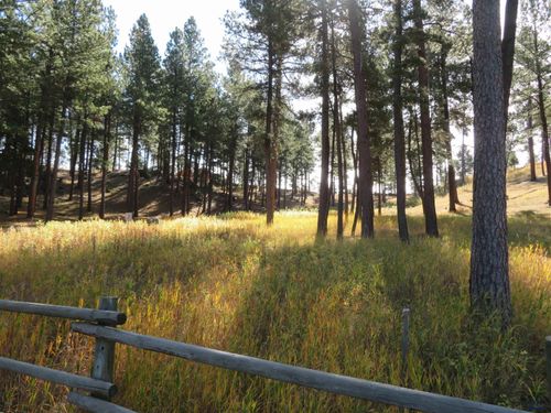 Block 1 Lot 18 Placer Pl, Hill City, SD, 57745 | Card Image