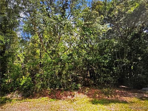2678 E Celina St, Inverness, FL, 34453-0551 | Card Image