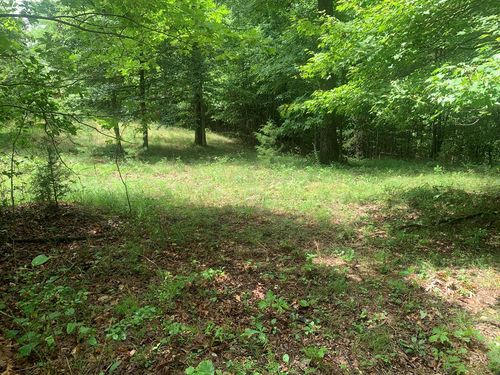 Lot 56 Meadows Dr, Spencer, TN, 38585 | Card Image