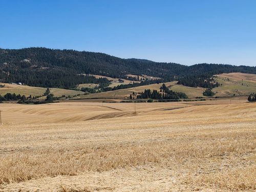 S 8004 S Jackson Rd, Mica, WA, 99023-8515 | Card Image