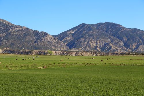 TBD County Road 233, Rifle, CO, 81650 | Card Image