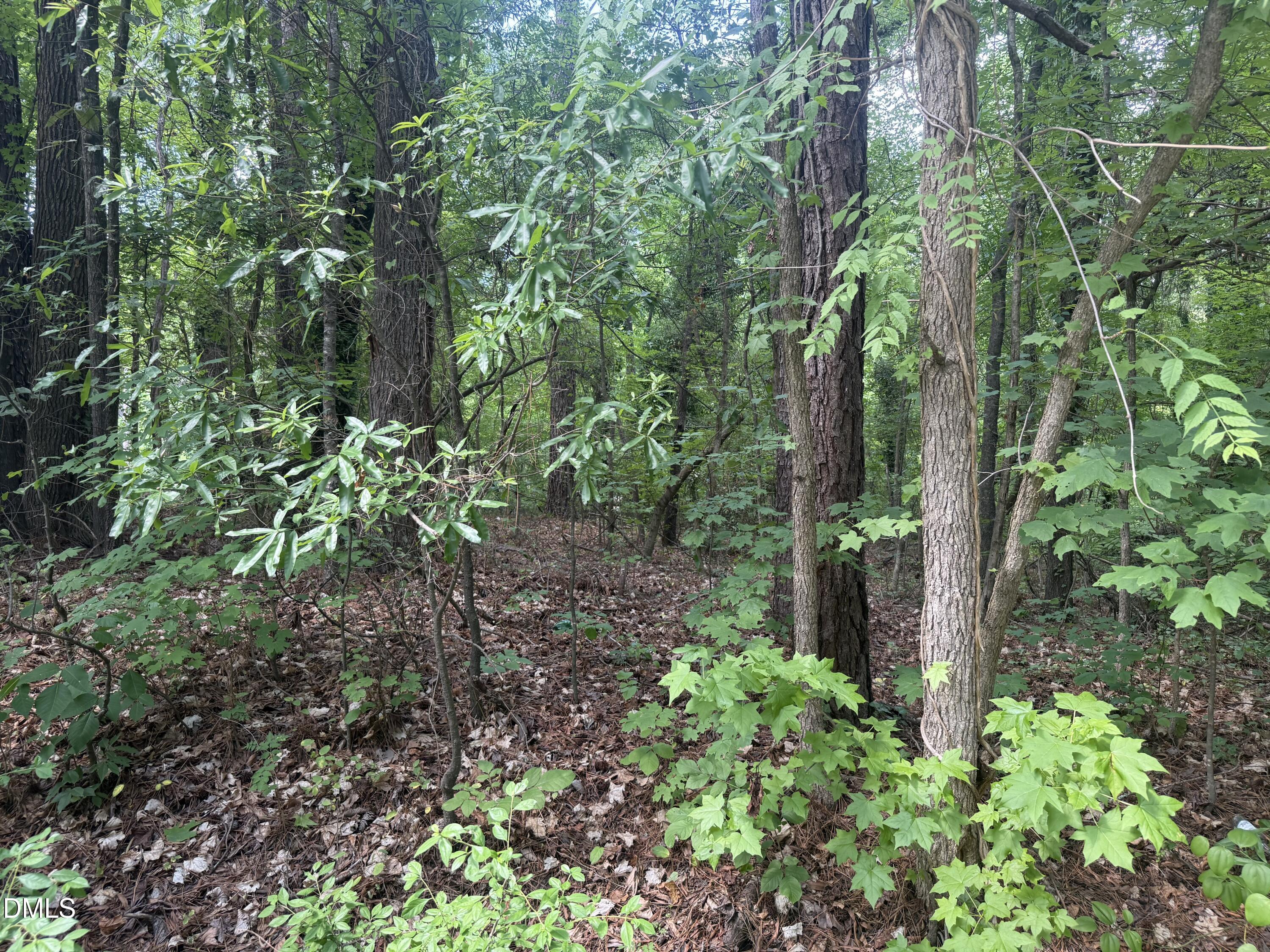 Land in Durham 3