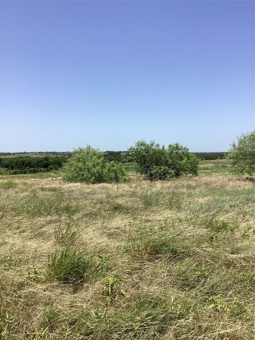 424 Pedernalis, Aledo, TX, 76008 | Card Image