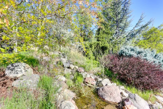 View of local wilderness | Image 61