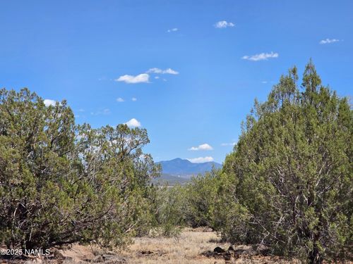 1804 N Francis Lane, Williams, AZ, 86046 | Card Image