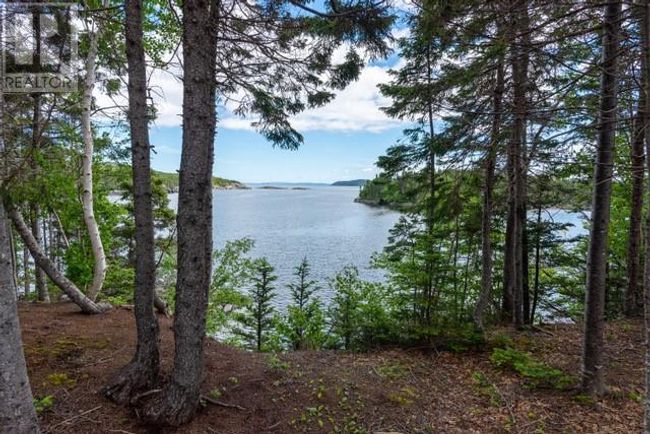 3C Loop Road, Home with 2 bedrooms, 3 bathrooms and null parking in Happy Adventure NL | Image 46