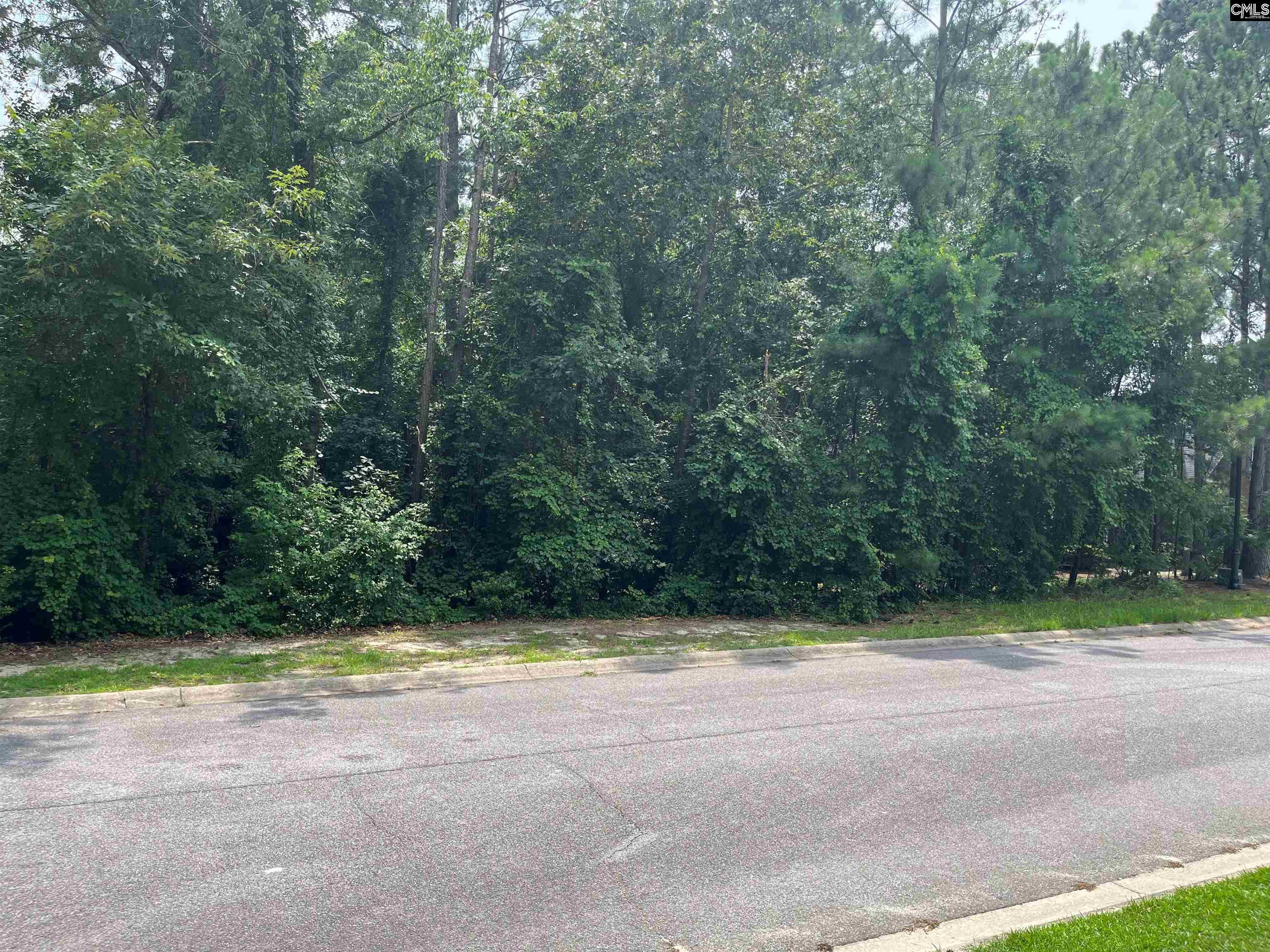 Land in Elgin 4
