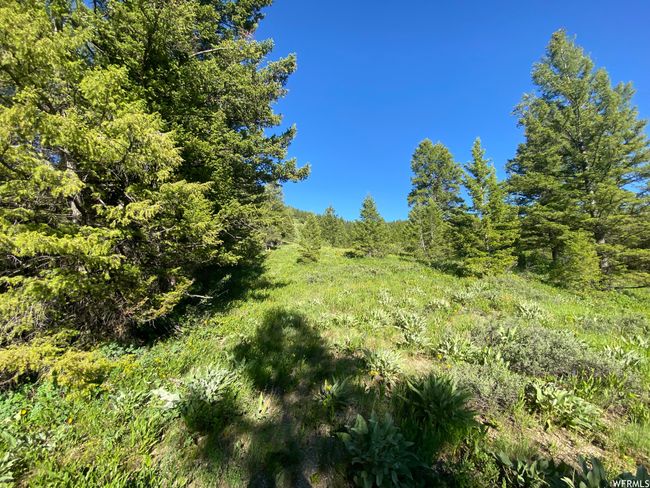 View of nature | Image 12