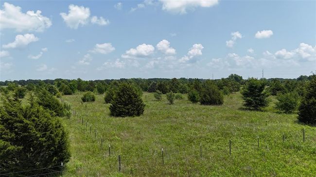 View of nature featuring a rural view | Image 5