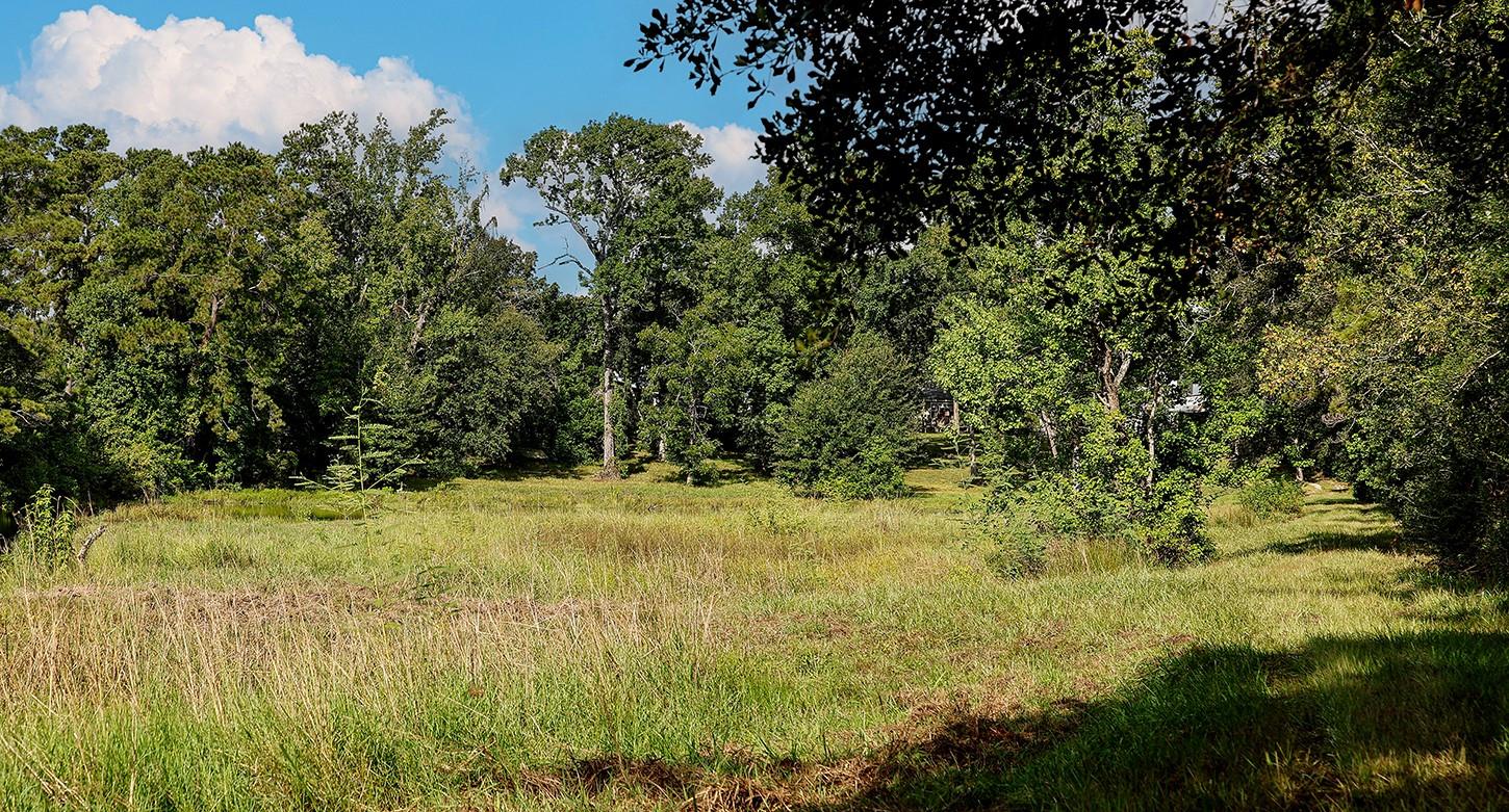 Land in Spring 3