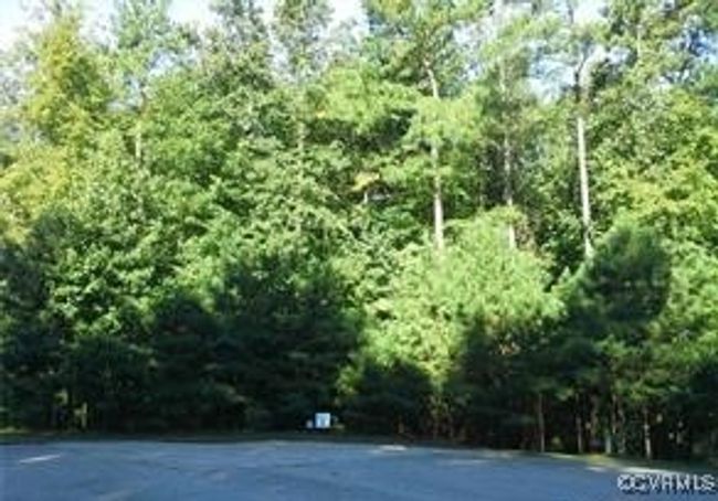 15919 Chesdin Bluff Dr, Home with 0 bedrooms, 0 bathrooms and null parking in Chesterfield VA | Image 16