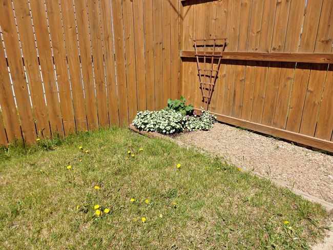 5010 44 Avenue, House other with 3 bedrooms, 1 bathrooms and 2 parking in Vermilion AB | Image 42