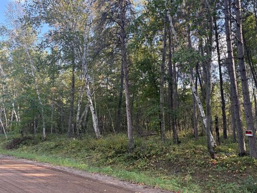 TBD Evergreen Dr, Nevis, MN, 56467 | Card Image