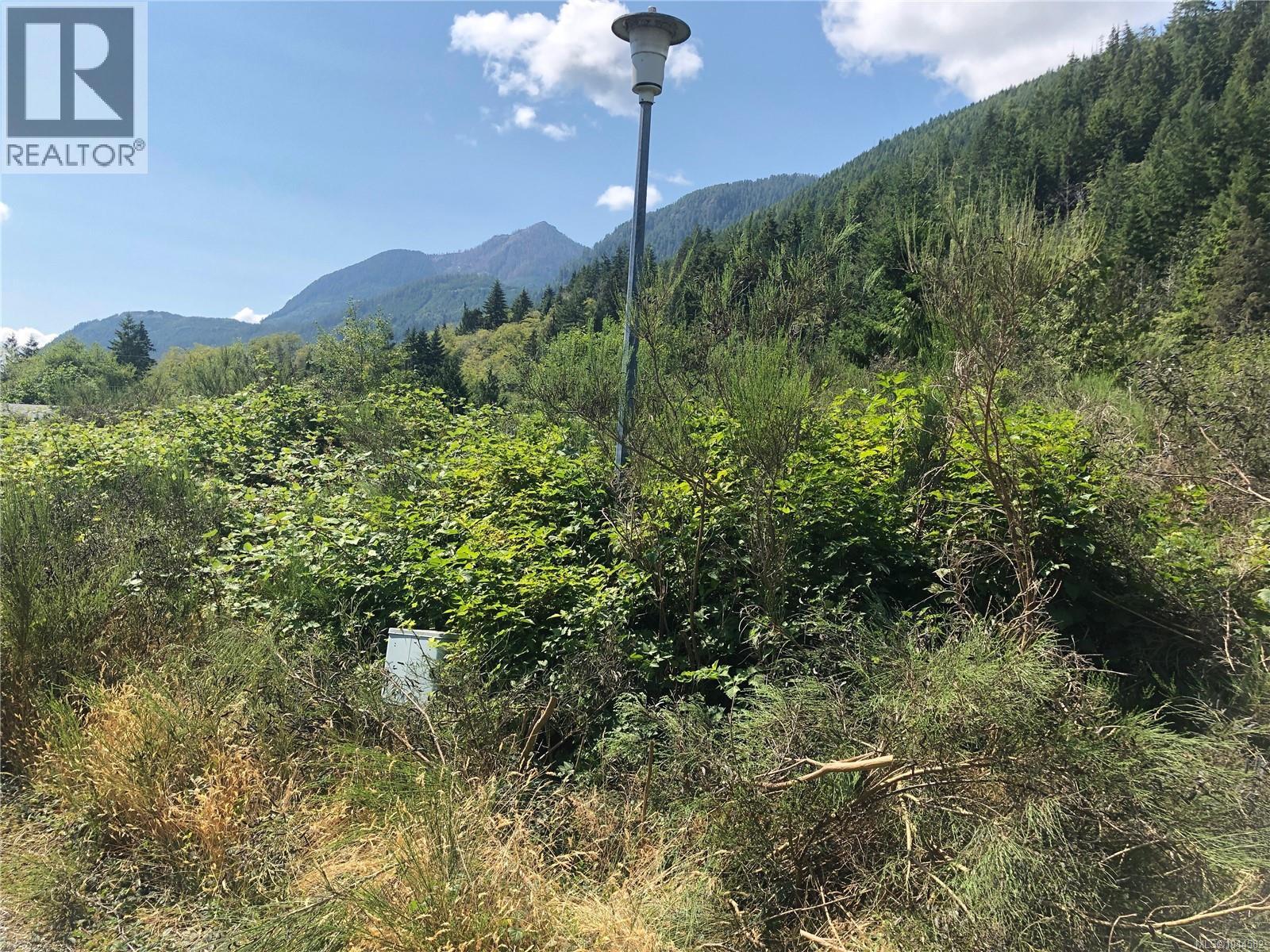 Land in Tahsis 2
