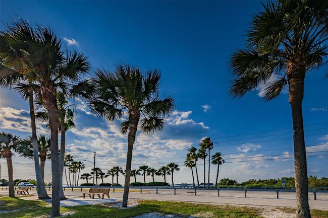 Dunedin Causeway | Image 67