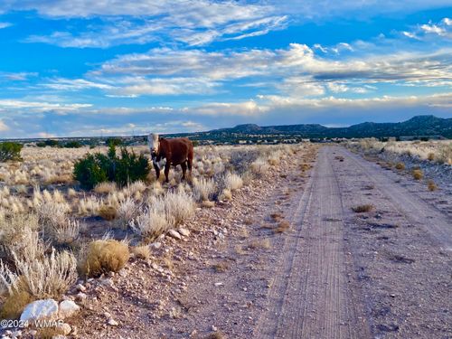 TBD N6422, St. Johns, AZ, 85936 | Card Image