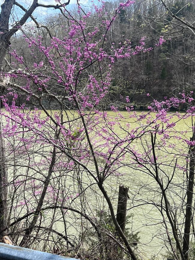 210 Echo Rd, House other with 3 bedrooms, 1 bathrooms and null parking in Bronston KY | Image 40