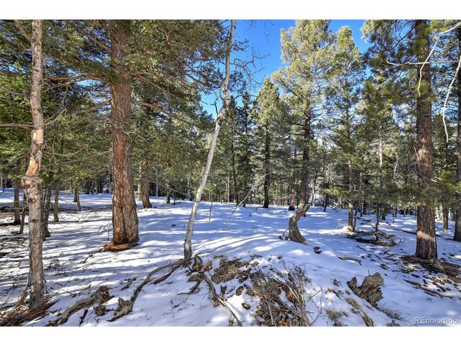 810 Ridge Rd, Home with 0 bedrooms, 0 bathrooms and null parking in Divide CO | Image 9