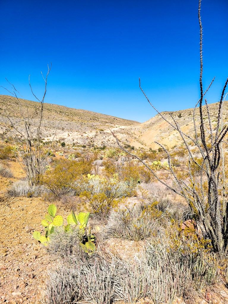 Land in Terlingua 3
