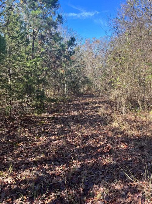 TBD Geyer Dr, Mena, AR, 71953 | Card Image