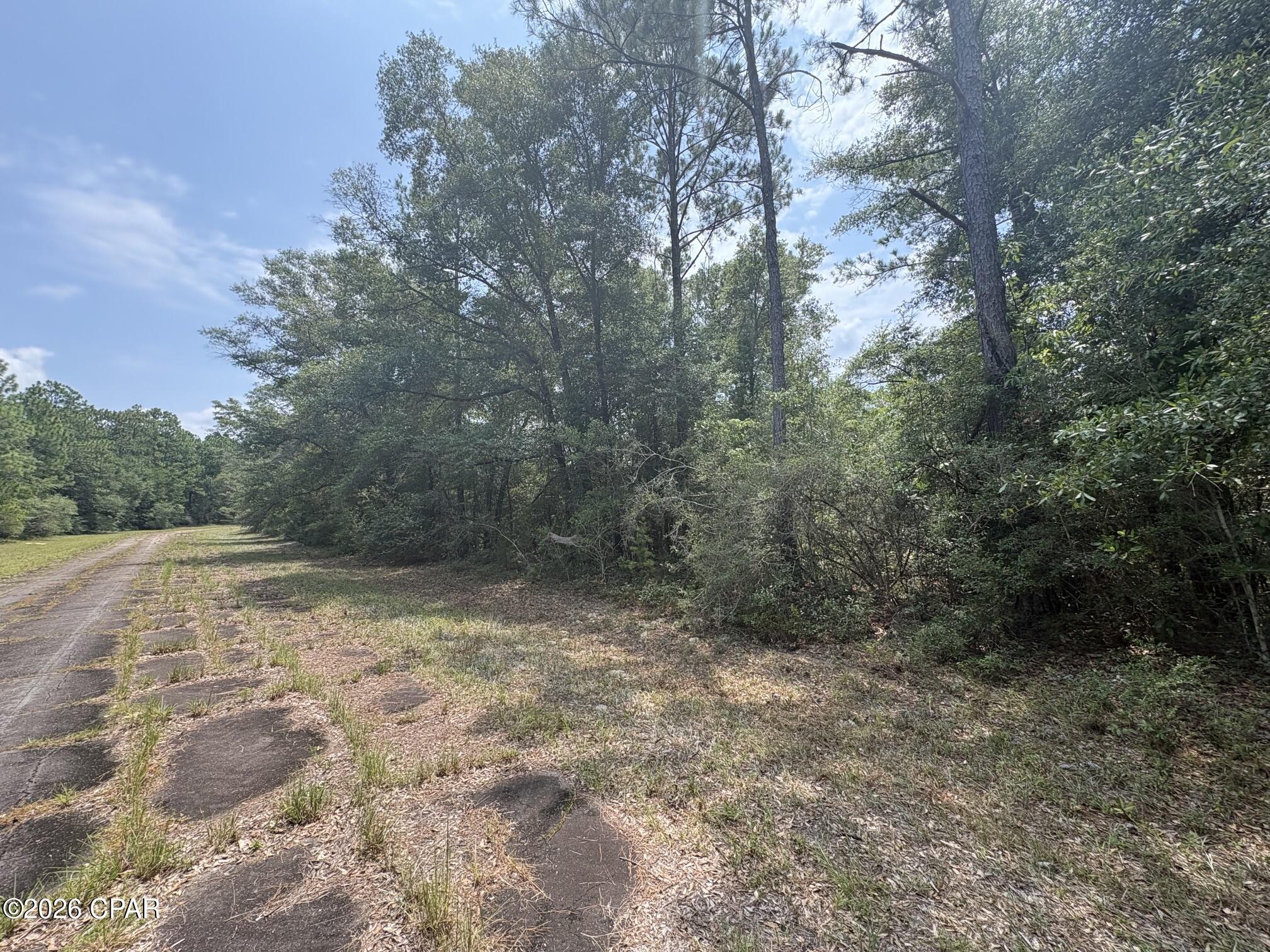 Land in Chipley 3