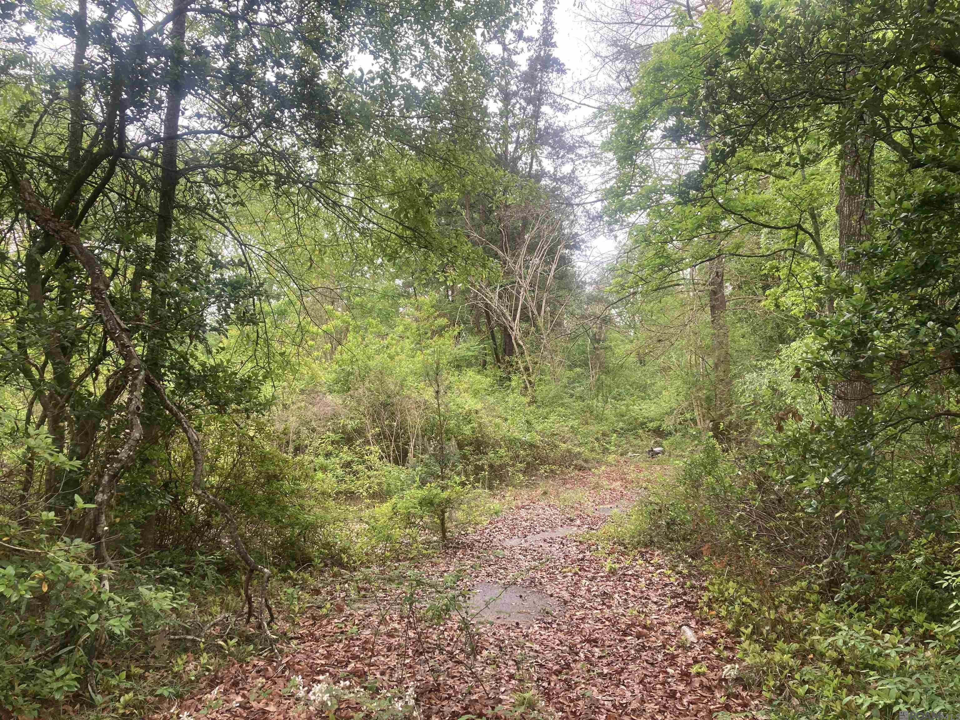 Land in Denham Springs 4