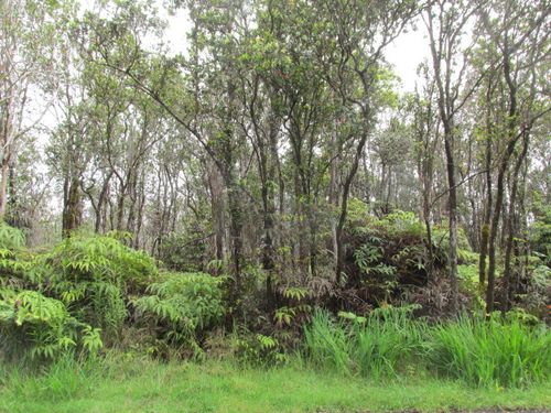 11-3088 Puolani St, VOLCANO, HI, 96785 | Card Image