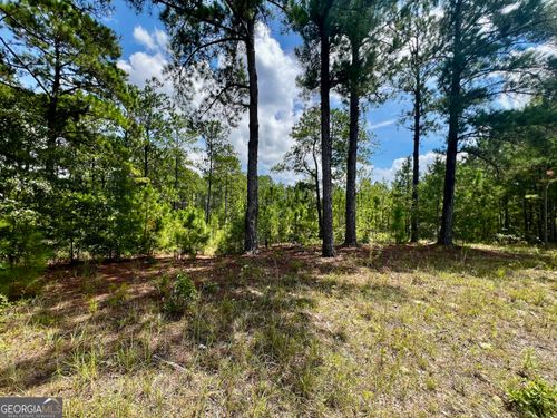 0 Dublin Eastman Rd, Dexter, GA, 31019 | Card Image