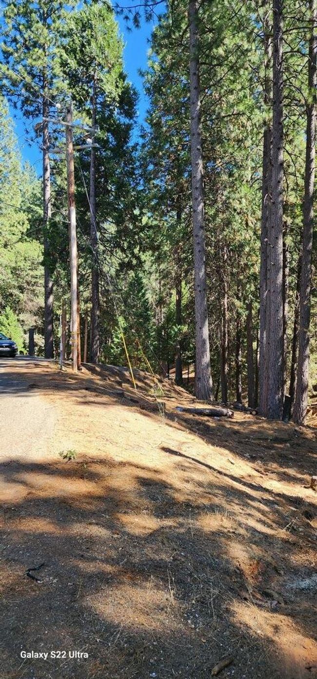 5701 Lupin Lane, Home with 0 bedrooms, 0 bathrooms and null parking in Pollock Pines CA | Image 11