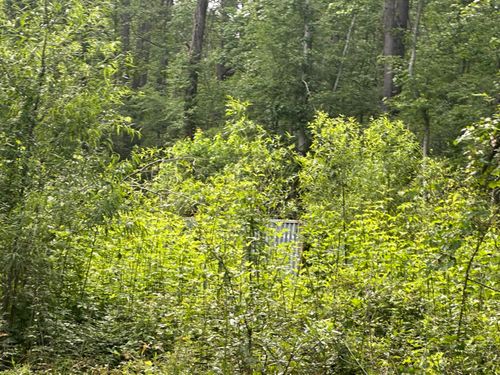 00 Weir St, Summerville, SC, 29483 | Card Image