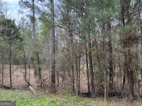 0 Hornets Bridge Rd, Elberton, GA, 30635 | Card Image