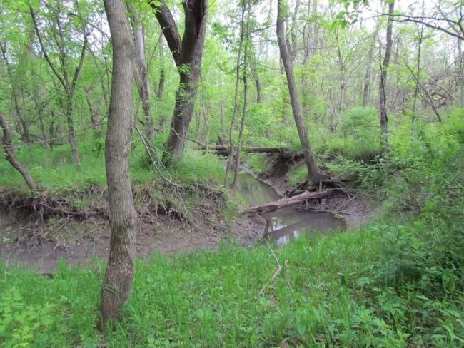 Tract 1 Renick Road, Home with 0 bedrooms, 0 bathrooms and null parking in Oak Grove MO | Image 27