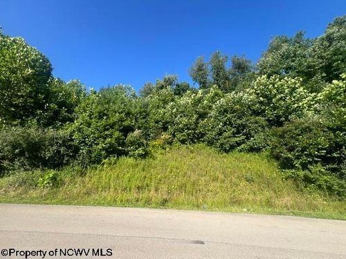 Lot 3 & 4 David Daniels Drive, Fairmont, WV, 26554 | Card Image