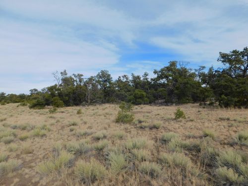 Lot 123 Brook Boulevard, Quemado, NM, 87829 | Card Image